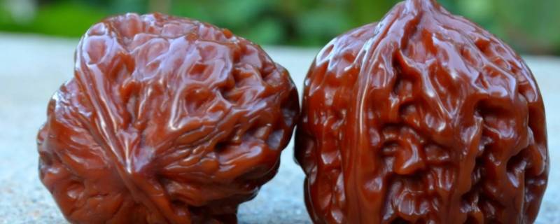 文玩核桃几月份成熟采摘（今年文玩核桃几月份成熟采摘）