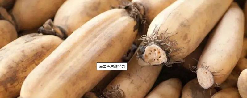 藕要煮多久才能成熟（藕需要多久煮熟）