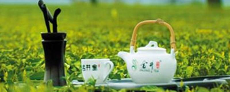 茶叶吉祥语 茶叶的茶语