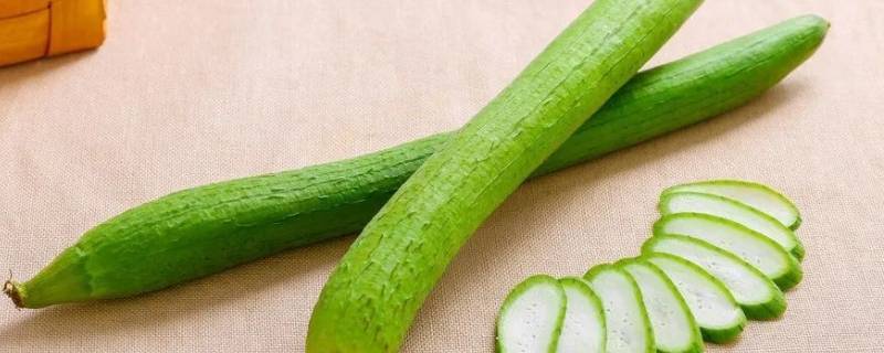 丝瓜是常温保存还是冷藏（丝瓜可以常温保存吗）