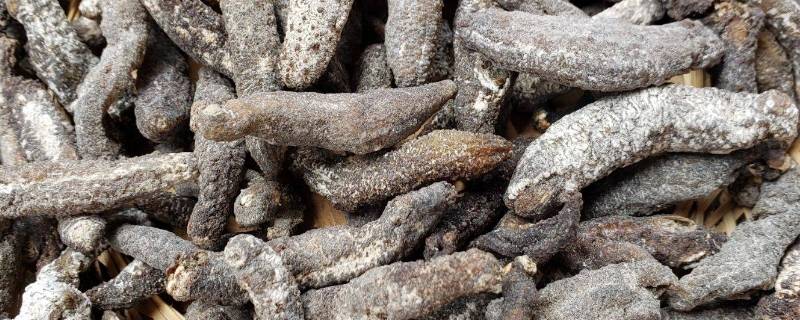 野生干海参保质期多久（淡干海参保质期限几年）