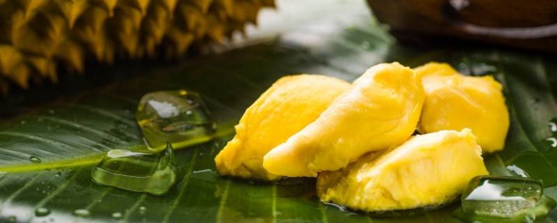 榴莲的营养(榴莲的营养真的和一只老母鸡一样吗)