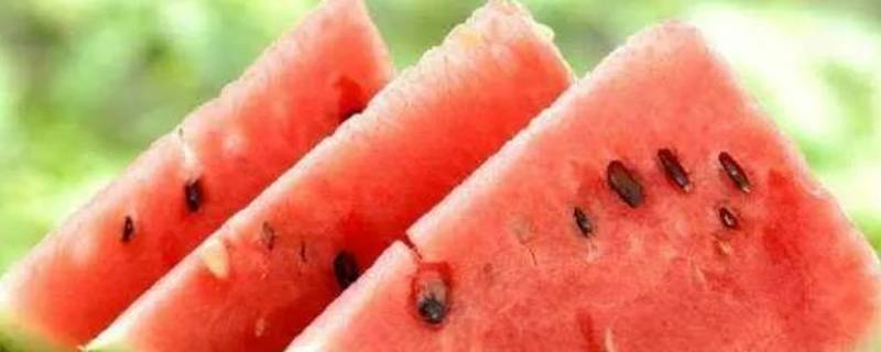 夏天西瓜吃不完怎么保存(冬天没吃完的西瓜怎么保存)