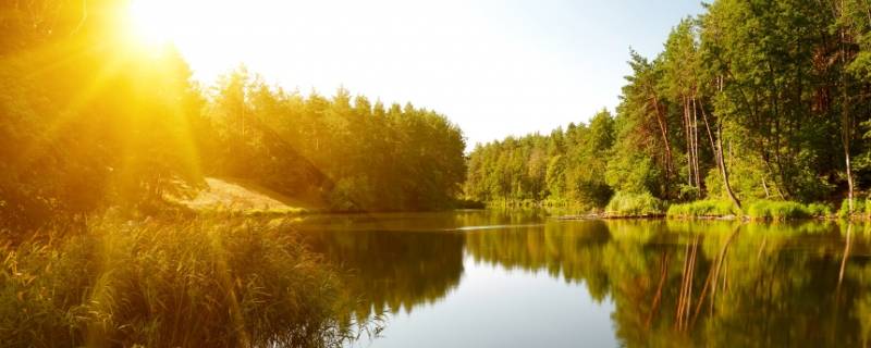 夏天太热可以开窗户睡觉吗（夏天天气热晚上睡觉可以打开窗户吗）