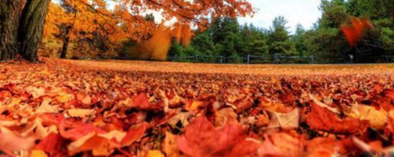 秋天是哪几个月（冬天是哪几个月）