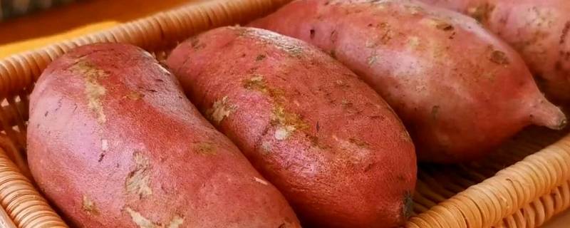 红薯发源地 红薯发源地是