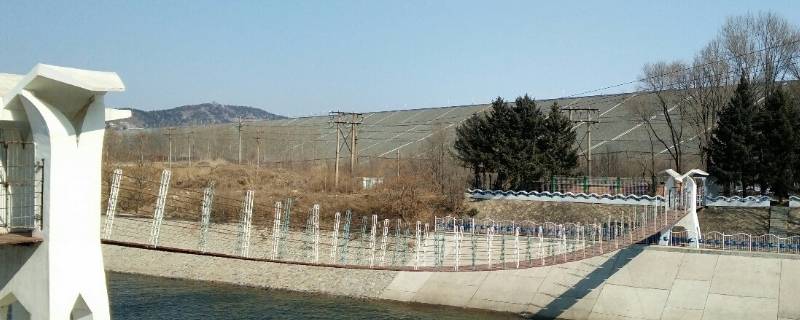 清河区特色文化（清水河县特色文化）