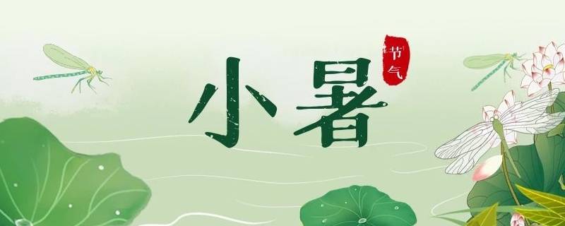 小暑应该注意什么（小暑节气应该注意什么）