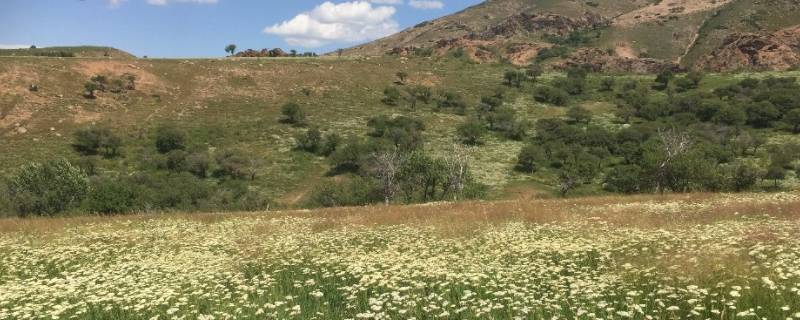 额敏县景点 额敏县风景图片