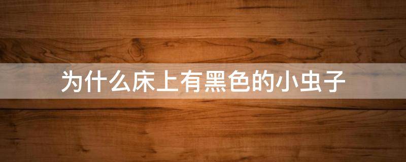 为什么床上有黑色的小虫子 为什么床上有黑色的小虫子会跳