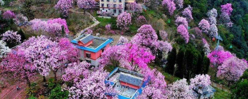 太白县景点 宝鸡太白县景点