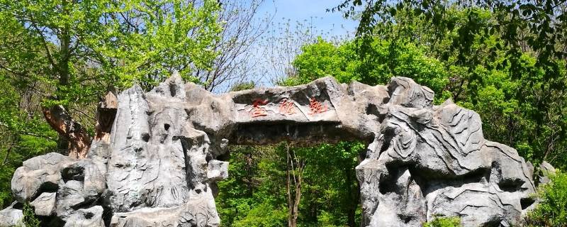 干饭盆在哪里（光遇干饭盆在哪里）