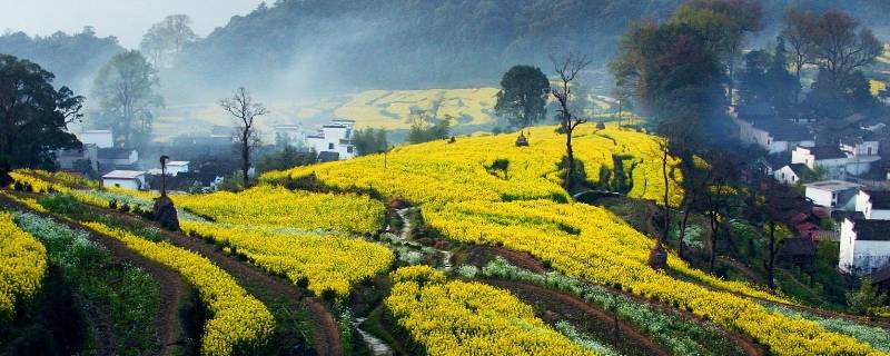 饶河县景点（饶河县旅游必去景点）