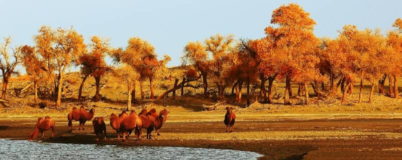 伊吾县景点 伊吾县旅游