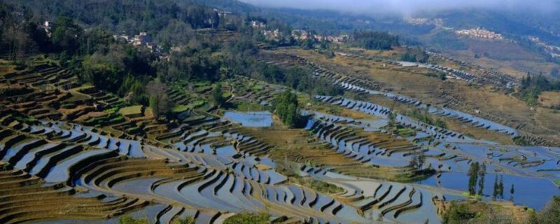 元阳县景点 元阳周边景点