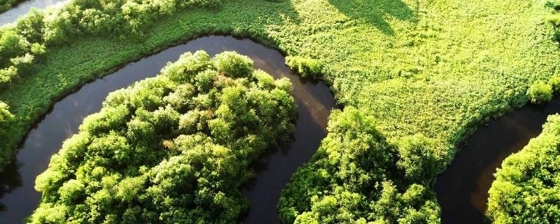 生物资源包括哪些内容（生物资源包括哪些内容例子）