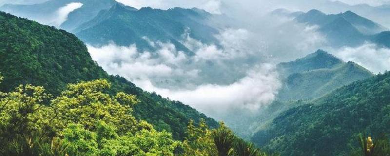 平桥区景点（平桥区旅游景点）