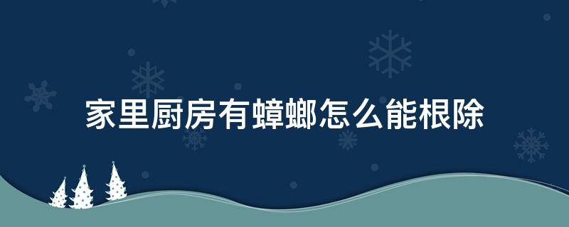 家里厨房有蟑螂怎么能根除 厨房有蟑螂怎么办能根除