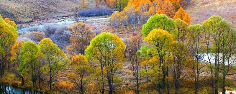 阿尔山景点（阿尔山景点图片）