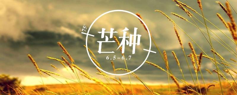 芒种又被称为什么（芒种为什么叫芒种）