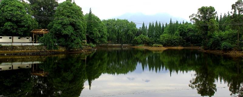 绵竹市景点（绵竹旅游的景点介绍）