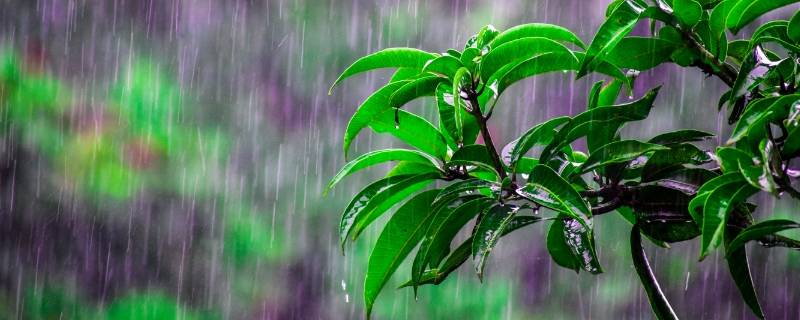 杭州梅雨季节是几月份到几月份结束（2021年杭州梅雨季节是几月份到几月份结束）