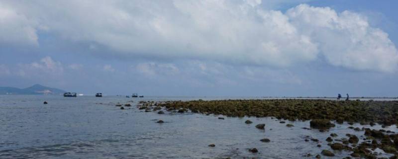 东海县景点（东海县景点大全一日游）