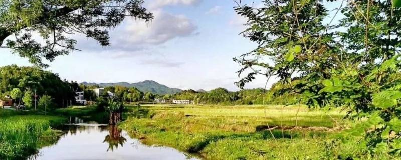 君山区景点（君山的景点）