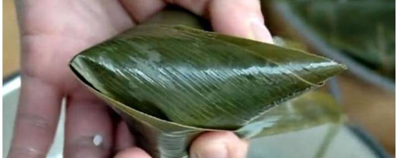 粽叶是冷水煮还是开水煮(粽叶是冷水煮还是开水煮干粽叶煮多久)