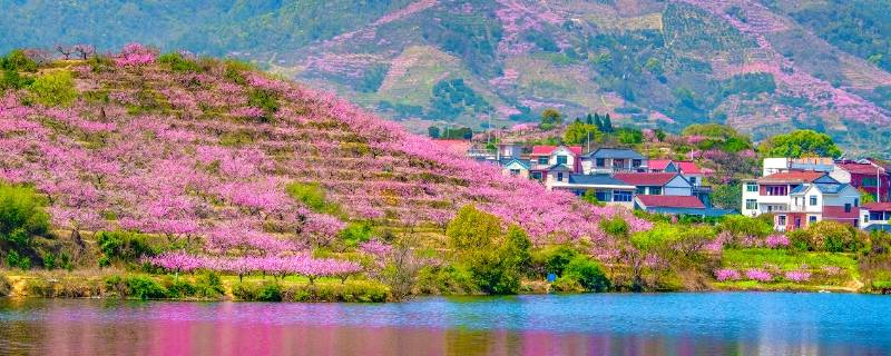 金东区景点（金东区旅游）