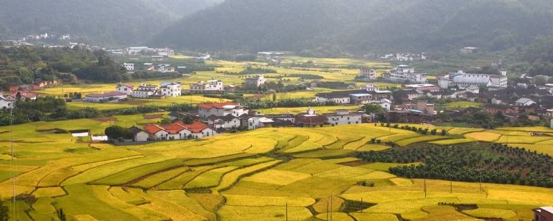 蕉岭县景点（蕉岭县景点介绍）