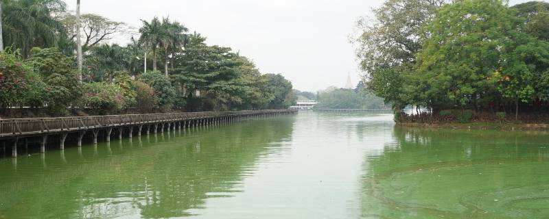 资阳区景点 资阳区旅游景点