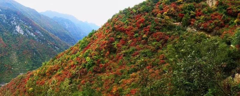 略阳县景点 略阳县景点略阳旅游攻略