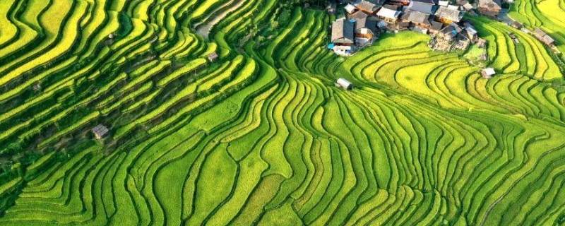 从江县景点（从江县的景点）