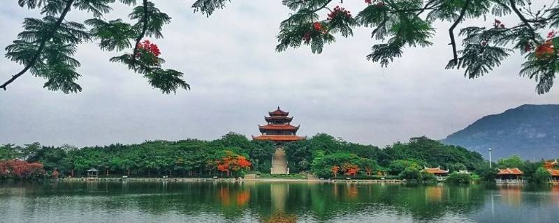 鲤城区景点（泉州鲤城区旅游攻略）