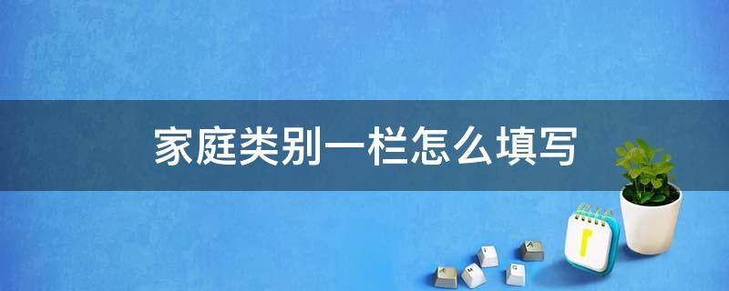 家庭类别一栏怎么填写（家庭类别填什么）