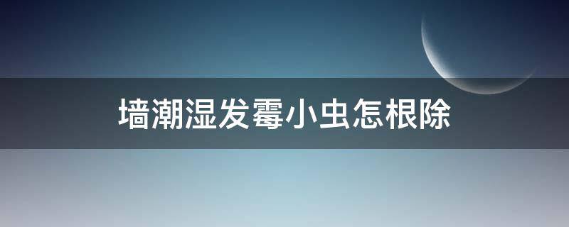 墙潮湿发霉小虫怎根除（潮虫）