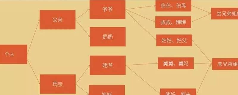 表和堂有什么区别 表和堂有什么区别?