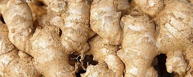 生姜削皮后是绿色可以吃吗（生姜削皮后是绿色的）