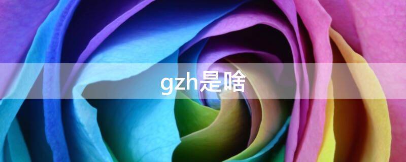 gzh是啥（gzg是什么）