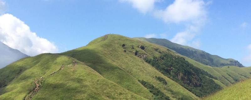 怎么理解绿水青山就是金山银山（怎么理解绿水青山就是金山银山英语）