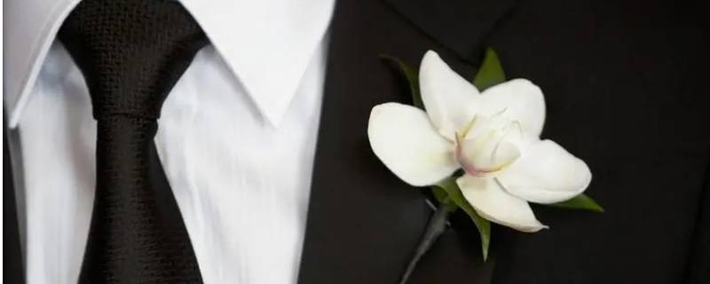 新郎结婚礼服如何挑选 新郎婚礼服装怎么穿