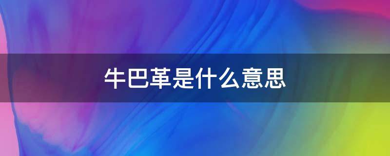 牛巴革是什么意思 牛巴革和猪巴革