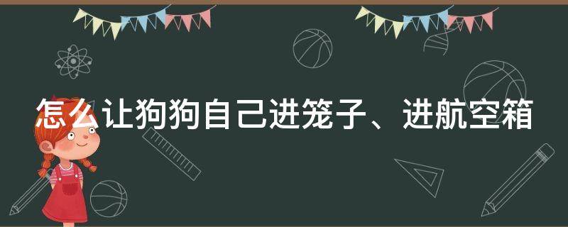 怎么让狗狗自己进笼子、进航空箱 怎么让狗狗自己进笼子,进航空箱里面