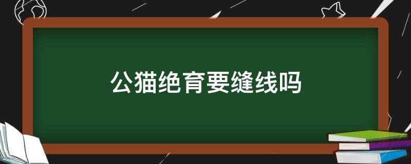 公猫绝育要缝线吗（公猫绝育要不要缝针）