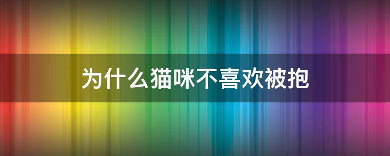 为什么猫咪不喜欢被抱 为什么猫咪不喜欢被抱着睡觉