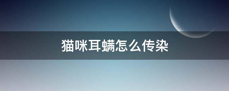 猫咪耳螨怎么传染（猫咪耳螨传染途径）