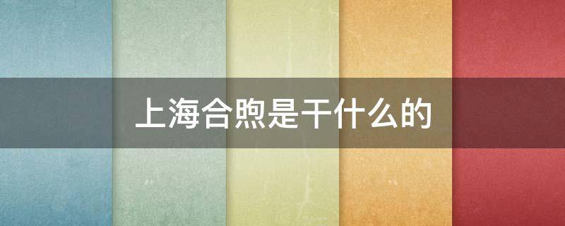 上海合煦是干什么的（上海合煦是干嘛的）