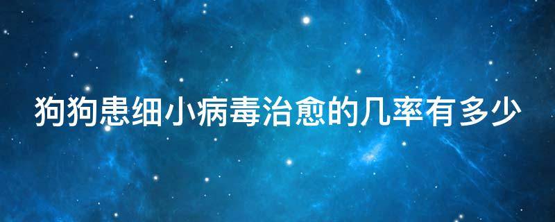 狗狗患细小病毒治愈的几率有多少 狗得了细小病毒治愈率