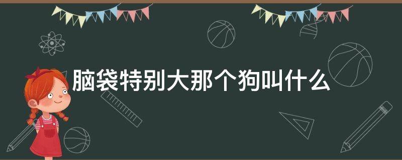 脑袋特别大那个狗叫什么 脑袋特别大的狗